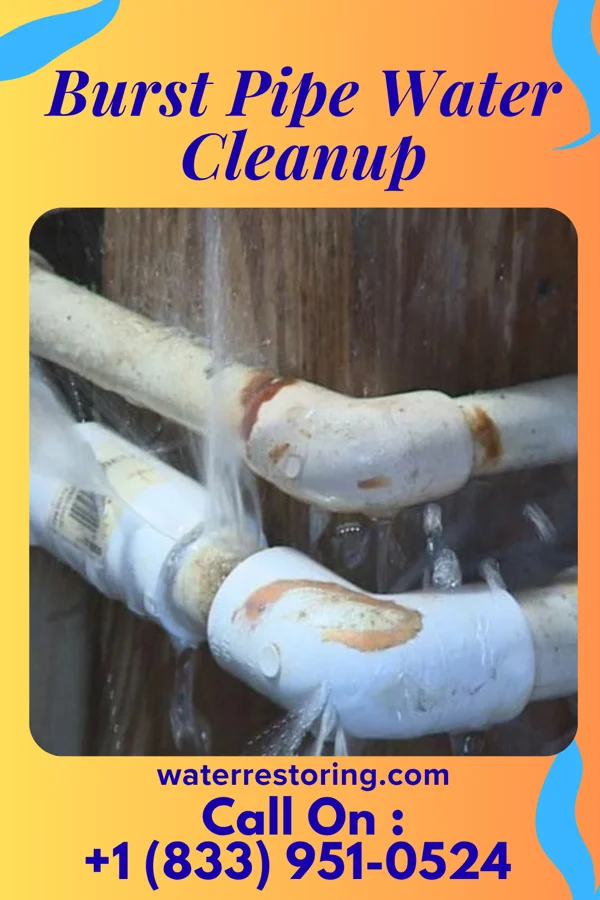 Burst Pipe Water Cleanup in Hillside, NY