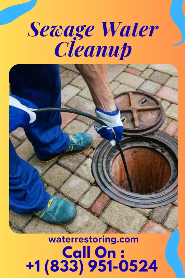 Sewage Water Cleanup in Hillside, NY