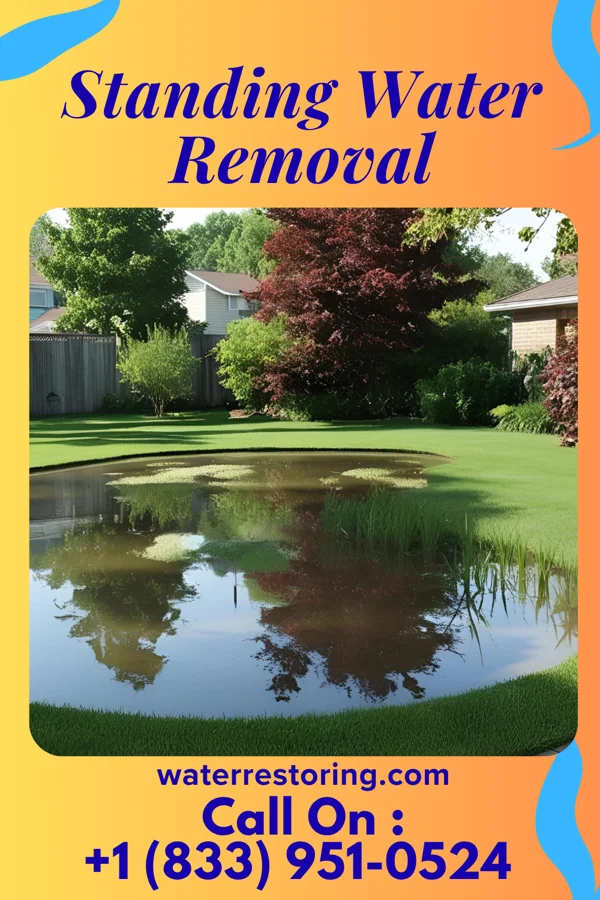 Standing Water Removal in Hillside, NY